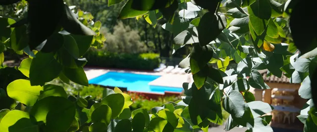 Von Eukalyptusbäumen beschatteter Weg auf Camping Les Philippons