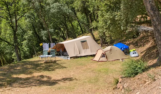 Ein Zeltstellplatz in bewaldeter Umgebung